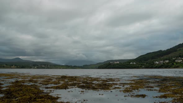 Timelapse of a shore covered with algae