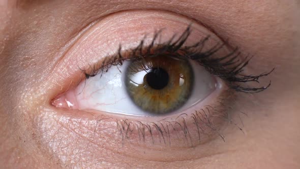 Womans Eye Closeup, Vision Examination, Anti-Allergic Cosmetics, Ophthalmology