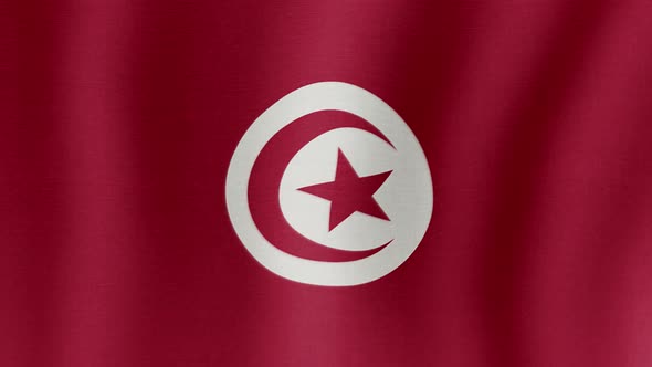 The National Flag of Tunisia