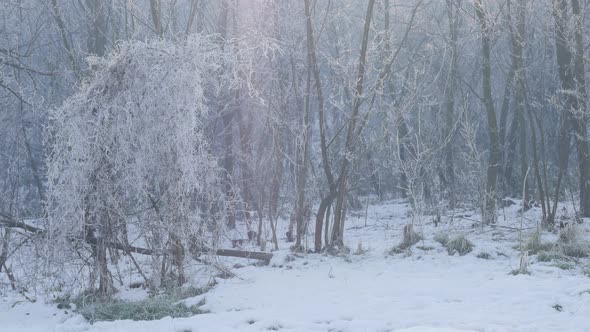 Snow covering hills near town of Zajecar in Eastern Serbia 4K 2160p UHS footage - Kraljevica park hi