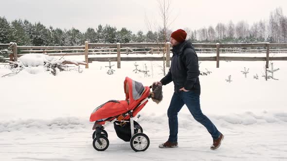 Dad with Baby Stroller Walking in Winter Forest