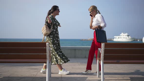 Busy Businesswoman Meeting Friend on City Embankment