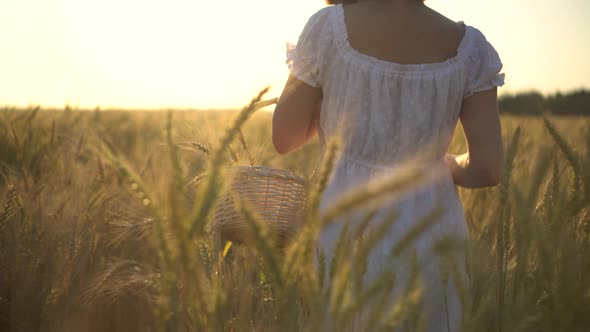 A Young Woman Is Walking on a Yellow Wheat Field with a Basket in Her Hands. Straw Basket with