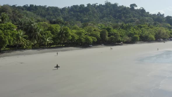 A surfer carrying his surfboard walks along a large sandy beach in tropical Costa Rica on a sunny da