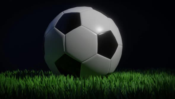 Soccer ball on a grass field