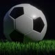 Soccer ball on a grass field - VideoHive Item for Sale