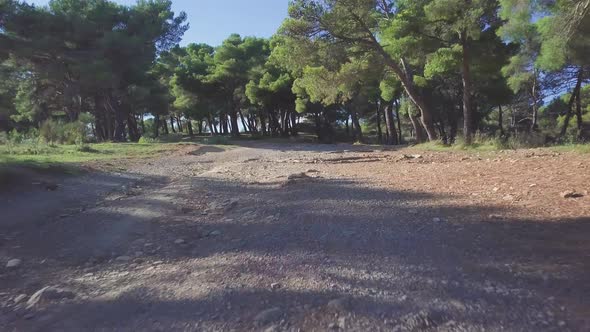 Mountain Dirt Unpaved Road