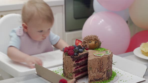 Baby Celebrate First Birthday Holiday Cute Small Child Trying to Reach the Cake One Year Old Kid