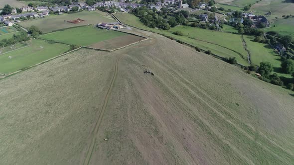 Aerial tracking forward over a herd of cows on the slopes of the hill to St Catherine's Chapel. The