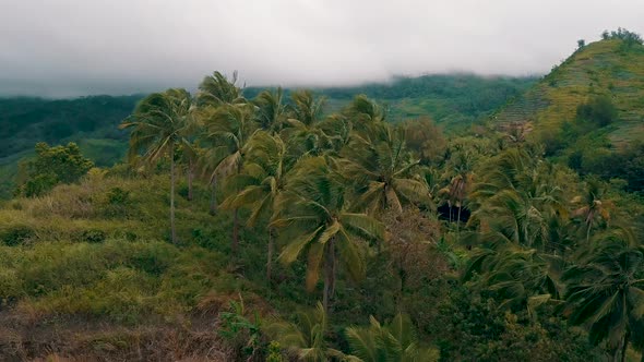 Cinematic aerial rising up and over a small mountain to reveal a wide forest covered valley as cloud