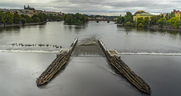 time lapse view on vltava dam river with birds on it