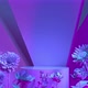 Futuristic neon catwalk with flowers in the metaverse - VideoHive Item for Sale