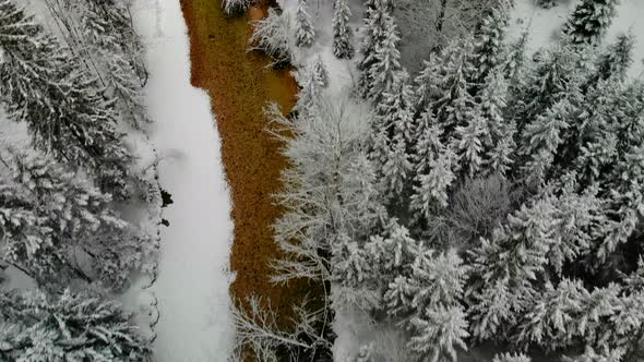 Beautiful view on an River in Schiederweiher in Upper Austria Drone Video