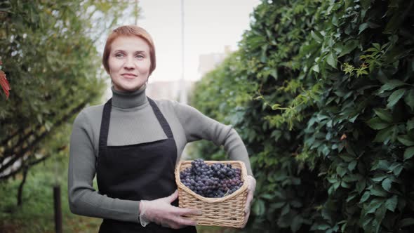 Harvest Season