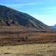 Concept 3-N1 Savanna With Montainous View at Mount Bromo - VideoHive Item for Sale