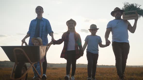 Family Farmers Are Walking Along the Field at Sunset, Carrying Box with Fresh Vegetables and Tools