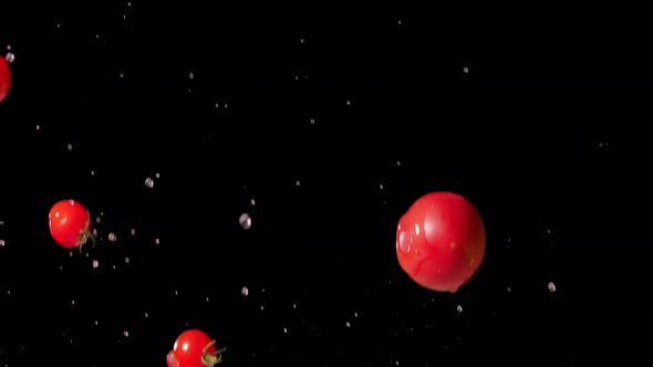 Ripe Red Delicious Tomatoes Jump Up and Flying with Water Splashes on Black Background Several Times