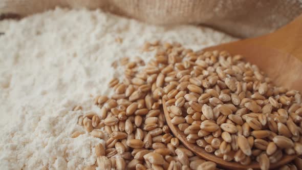 Wheat Grains and White Flour Macro