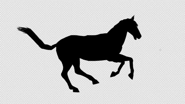 Horse Run Silhouette