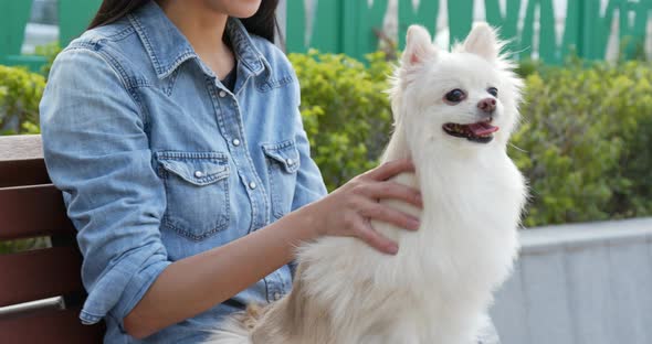 Woman massaging her dog at outdoor