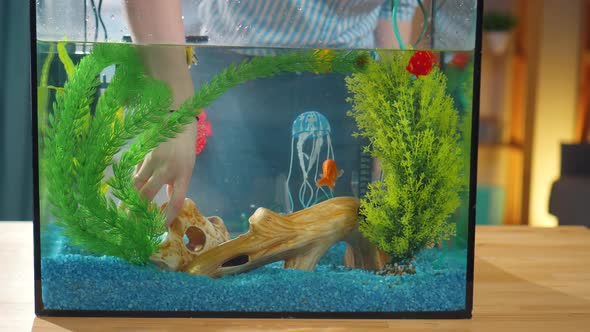 Close Up Young Woman Decorates Aquarium