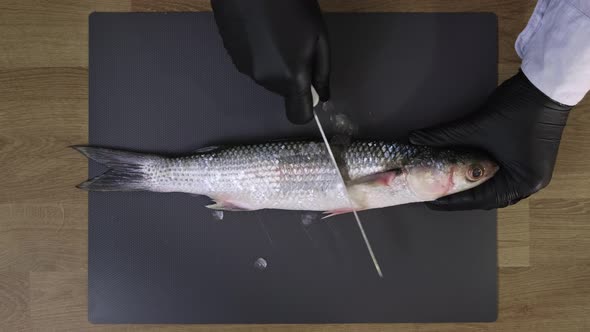 Mullet fresh fish. Peel mullet fish from scales with a sharp knife