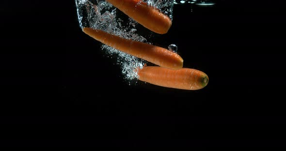 Carrots, daucus carota, Vegetables Entering Water against Black Background, Slow Motion 4k