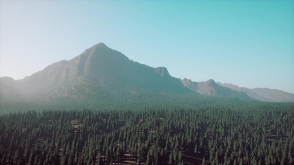 Majestic Mountains with Forest Foreground in Canada