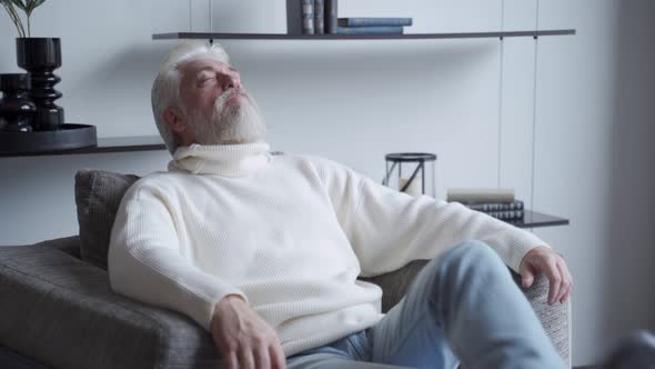 Relaxed Mature Man with a Gray Beard at Home Sitting in a Chair