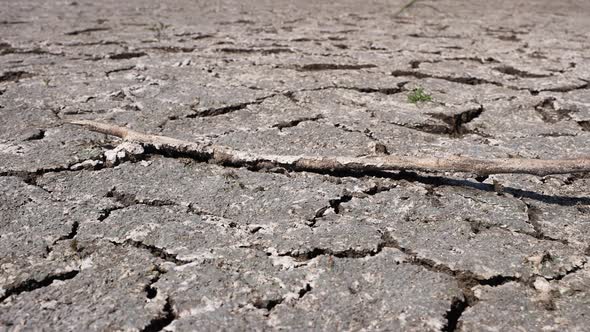 Dried Up Lake 34