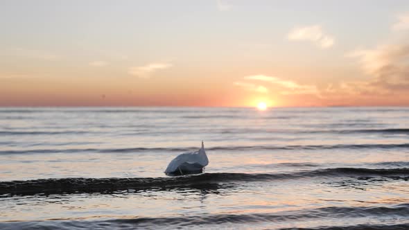 Protective Face Mask Bobs on the Waves at Sea During Sunset Environmental Pollution