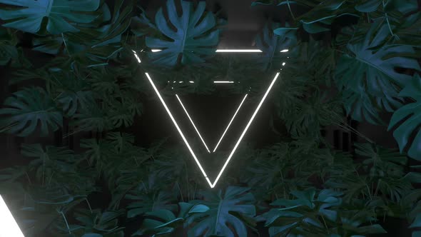 Monstera Neon 03 Hd