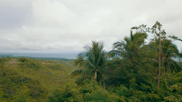 Drone tracking horizontally from behind a tree on a mountain top to reveal a wide valley below cover