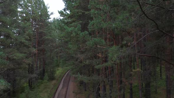 Aerial view. Taiga and trail