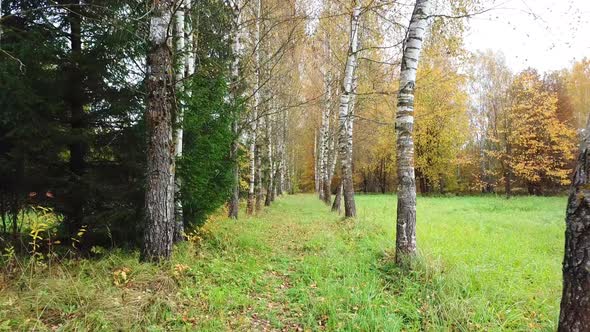 Golden Autumn In A Country Estate 03