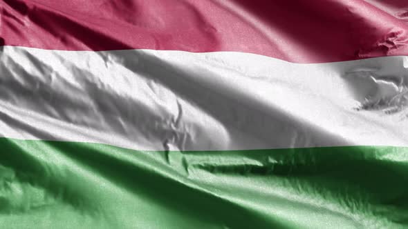 Hungary textile flag waving on the wind. 10 seconds loop.