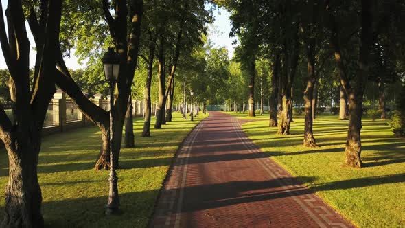 Group of People Cycling in Summer Park