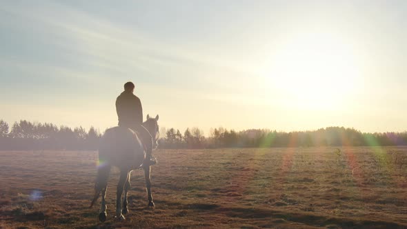 Rider in the Morning Sun