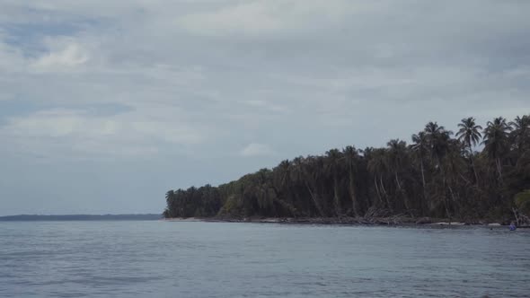 Water near shore with palms