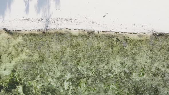 Vertical Video of the Ocean Near the Coast of Zanzibar Tanzania Aerial View