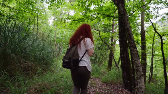 Walking in the Forest