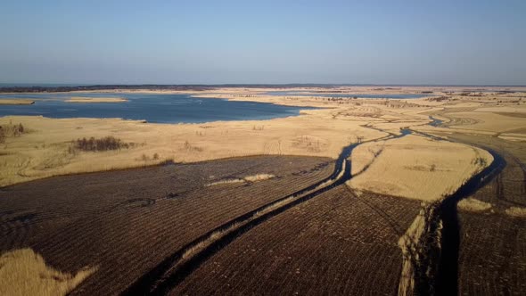 Aerial view of the lake overgrown with brown reeds, lake Pape nature park, Rucava, Latvia, sunny spr