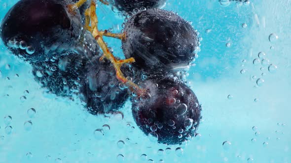 Black Grapes Fruit Under Water Selective Focus Macro