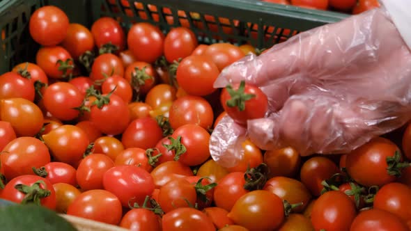 Woman's Hand Chooses Yellow Tomatoes From a Box in the Market