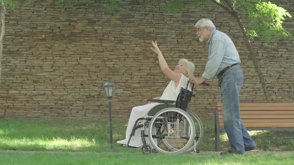 Side View of Laughing Senior Couple in Sunny Summer Park Talking and Gesturing. Wide Shot of Old