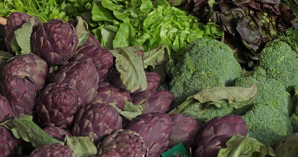 Fresh vegetables on stalls in a southern France market.