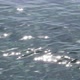 Closeup of Ripples and Sun Glare on the Water - VideoHive Item for Sale