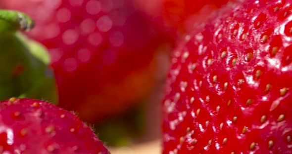 Macro pan over bright red, fresh, ripe strawberries in the summer sun