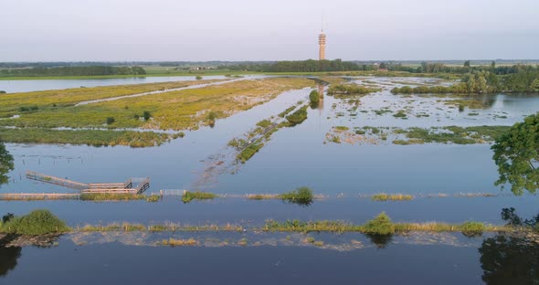 Aerial view of corn field along river Maas, The Netherlands.