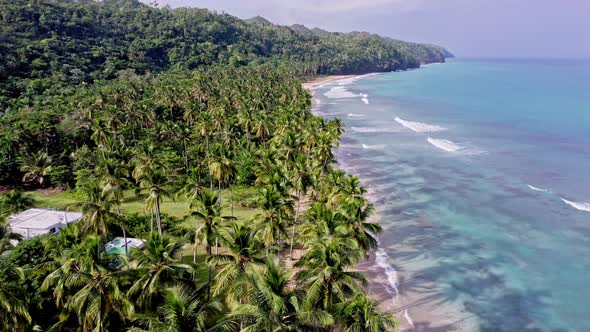 Luxury seafront property amongst palm trees on idyllic Caribbean coast; aerial